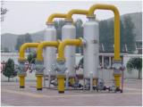Widely Used Natural Gas Filter